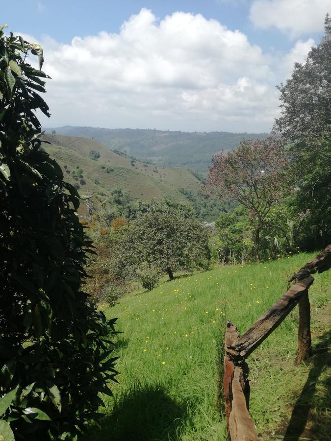 Ecorefugio Las Mirlas Salento Kültér fotó