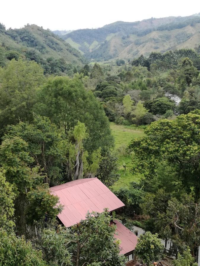 Ecorefugio Las Mirlas Salento Kültér fotó